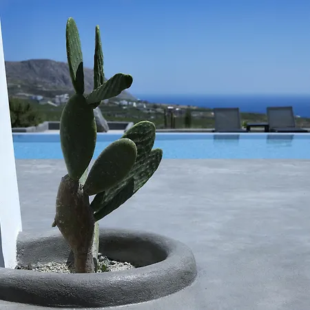 Christou Estate&villas